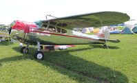 N1082D @ KOSH - Cessna 195A - by Florida Metal
