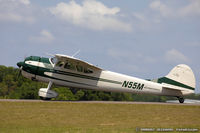 N55M @ KLAL - Cessna 195 Businessliner  C/N 7408, N55M