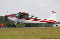 N79SL @ KLAL - Cessna 180K Skywagon  C/N 18053065, N79SL - by Dariusz Jezewski www.FotoDj.com