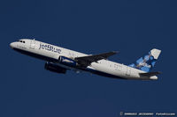 N715JB @ KJFK - Airbus A320-232 How's My Flying? Call 1-800-JetBlue - JetBlue Airways  C/N 3554, N715JB - by Dariusz Jezewski www.FotoDj.com