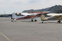 N92503 @ SZP - 1976 Cessna A185F SKYWAGON 185, Continental IO-520 285 Hp, 6 seats - by Doug Robertson