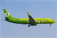 VQ-BVL @ EDDF - Boeing 737-8GJ - by Jerzy Maciaszek