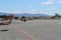 N1813Y @ SZP - 1981 Beech F33A BONANZA, Continental IO-520 285 Hp, 5 seats, taxi off the active - by Doug Robertson