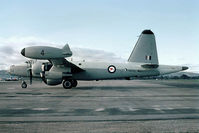A89-304 @ YPEA - Lockheed Neptune P2V-5. RAAF A89-304 11 sqn based RAAF Richmond in transit RAAF Base Pearce (YPEA) mid-1960s. My photo. - by kurtfinger