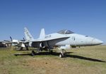 162473 - McDonnell Douglas F/A-18A Hornet (probably containing parts of an other aircraft) at the Texas Air Museum Caprock Chapter, Slaton TX