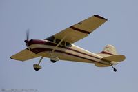 N170WS @ KOSH - Cessna 170A  C/N 19490, N170WS - by Dariusz Jezewski www.FotoDj.com