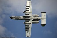 80-0230 @ KOSH - A-10A Thunderbolt 80-0230 PA from 103rd FS Black Hogs 111th FW NAS JRB Willow Grove, PA
