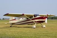 N170WS @ KOSH - Cessna 170A  C/N 19490, N170WS