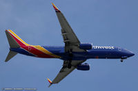 N8682B @ KEWR - Boeing 737-8H4 - Southwest Airlines  C/N 36651, N8682B - by Dariusz Jezewski www.FotoDj.com