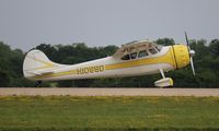 N1069D @ KOSH - Cessna 195A - by Florida Metal