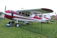 N1566D @ KOSH - Cessna 195 - by Florida Metal