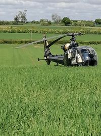 YU-HEY - Taken in a crop field in St Albans - by Matt Jobling