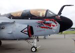 163033 - Grumman EA-6B Prowler at the Hickory Aviation Museum, Hickory NC