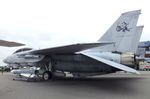 163902 - Grumman F-14D Tomcat at the Hickory Aviation Museum, Hickory NC - by Ingo Warnecke
