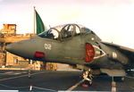 MM55033 @ LMML - McDonnell Douglas TAV-8B MM55033/02 Italian Navy - by Raymond Zammit