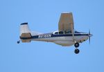 N6166N @ KLAL - Cessna A185F - by Florida Metal