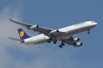 D-AIGM @ LMML - A340 D-AIGM Lufthansa - by Raymond Zammit