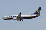 EI-ENW @ LMML - B737-800 EI-ENW Ryanair - by Raymond Zammit