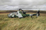 XZ316 - Gazelle AH.1, Callsign Army Air 719, of 666(V) Squadron in action in September 2005. - by Peter Nicholson