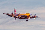 C-FLXT @ CYXX - Landing on 19 - by Guy Pambrun