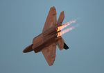 09-4185 @ KOSH - USAF F-22A - by Florida Metal
