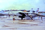 160926 @ EGDY - 160926   Grumman F-14A Tomcat [355] (United States Navy) RNAS Yeovilton~G @ 12/07/1996 - by Ray Barber