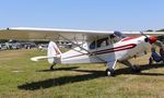 N700PA @ KLAL - Piper PA-12