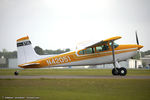 N42051 @ KLAL - Cessna 180A Skywagon  C/N 18052305, N42051