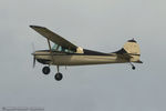 N4494B @ KLAL - Cessna 170B  C/N 26838, N4494B