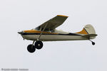 N8285A @ KLAL - Cessna 170B  C/N 25137, N8285A
