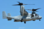 166384 @ KOQU - Osprey Demo - by Topgunphotography