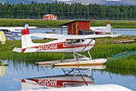 N7404M @ PAFA - N7404M   Cessna 175 Skylark [55704] Fairbanks Int'l~N 27/06/2018 - by Ray Barber