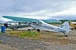 N4928H @ PAWS - N4928H   Piper PA-11 Cub Special [11-805] Wasilla~N 29/06/2018 - by Ray Barber