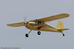 N2147V @ KOSH - Cessna 140  C/N 14374, N2147V - by Dariusz Jezewski www.FotoDj.com