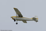 N9915A @ KOSH - Cessna 170A  C/N 19275, N9915A - by Dariusz Jezewski www.FotoDj.com