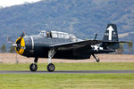 VH-MML - Warbirds Over Scone 2022. - by George Pergaminelis