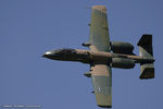 81-0962 @ KOSH - A-10C Thunderbolt II 81-0962 DM from 354th FS Bulldogs 355th WG Davis-Monthan AFB, AZ