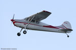 N2715D @ KLAL - Cessna 170B  C/N 25257, N2715D