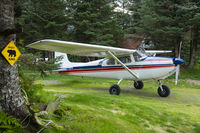 N1124B - Parked in the trees next to the Homestead Lodge at Silver Salmon Creek,Alaska in 2013 - by Ross Forsyth