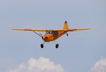 N3549C @ KOSH - Cessna 170B