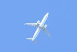 EC-NVJ - Air Europa Boeing 737 over Worthing, Sussex - by Chris Holtby