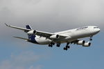 D-AIGX @ LMML - A340 D-AIGX Lufthansa - by Raymond Zammit