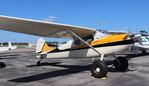 N8285A @ KGIF - Cessna 170B - by Mark Pasqualino