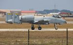 80-0181 @ KCOF - USAF A-10 zx - by Florida Metal