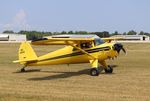 N455C @ KOSH - Luscombe 8E