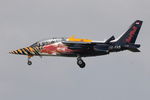 OE-FAS @ LMML - Dassault Dornier Alpha Jet A OE-FAS The Flying Bulls - by Raymond Zammit