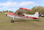 N95LW @ 97FL - Cessna A185E - by Mark Pasqualino