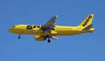N608NK @ KTPA - NKS A320 yellow zx MSY-TPA - by Florida Metal