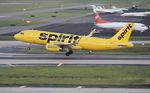 N641NK @ KTPA - NKS A320 yellow zx PHL-TPA - by Florida Metal