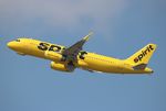 N641NK @ KTPA - NKS A320 yellow zx TPA-IAH